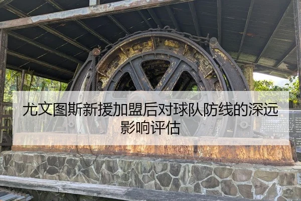 尤文图斯新援加盟后对球队防线的深远影响评估